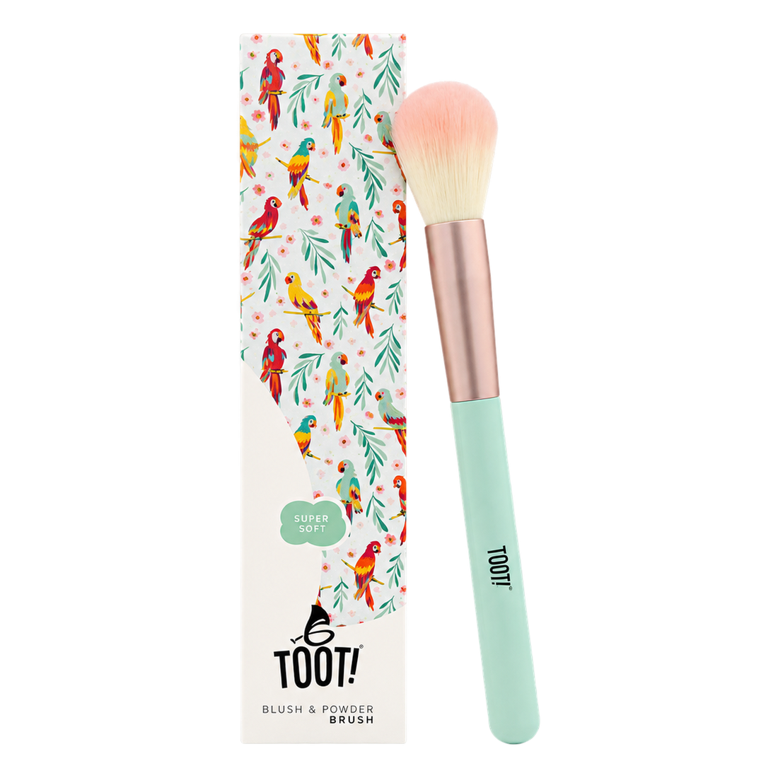 Blush and powder brush