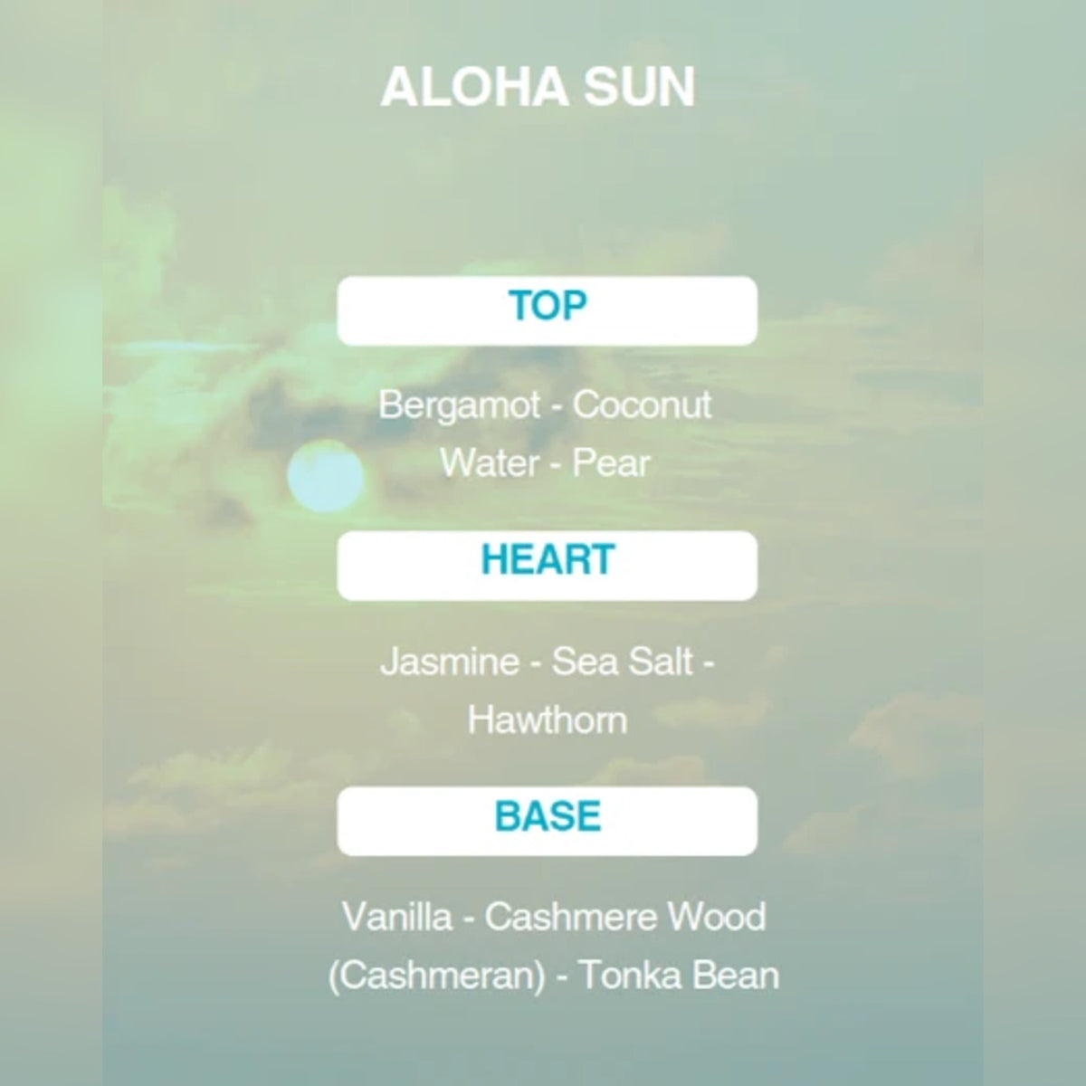 Aloha Sun - notas aromáticas
